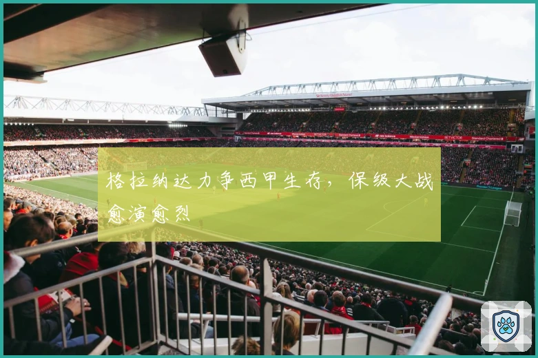 格拉纳达力争西甲生存,保级大战愈演愈烈