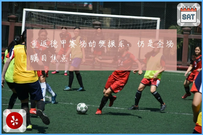 重返德甲赛场的樊振东，仍是全场瞩目焦点！